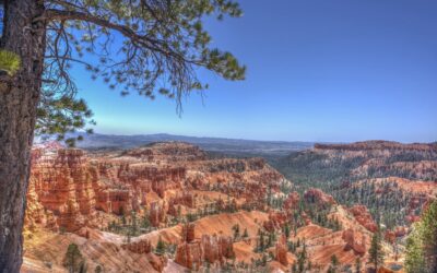 Guide to Zion National Park in November