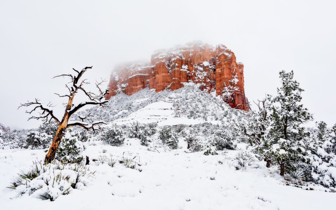 Zion in Winter: Your Guide to a Unique Paradise